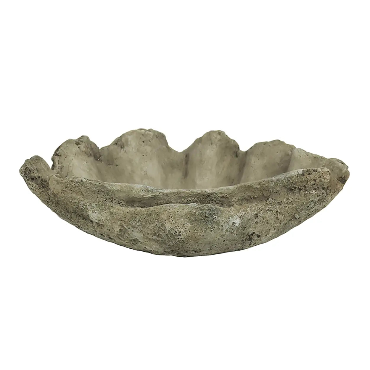 CLAM CAST CONCRETE SHELL SHALLOW BOWL