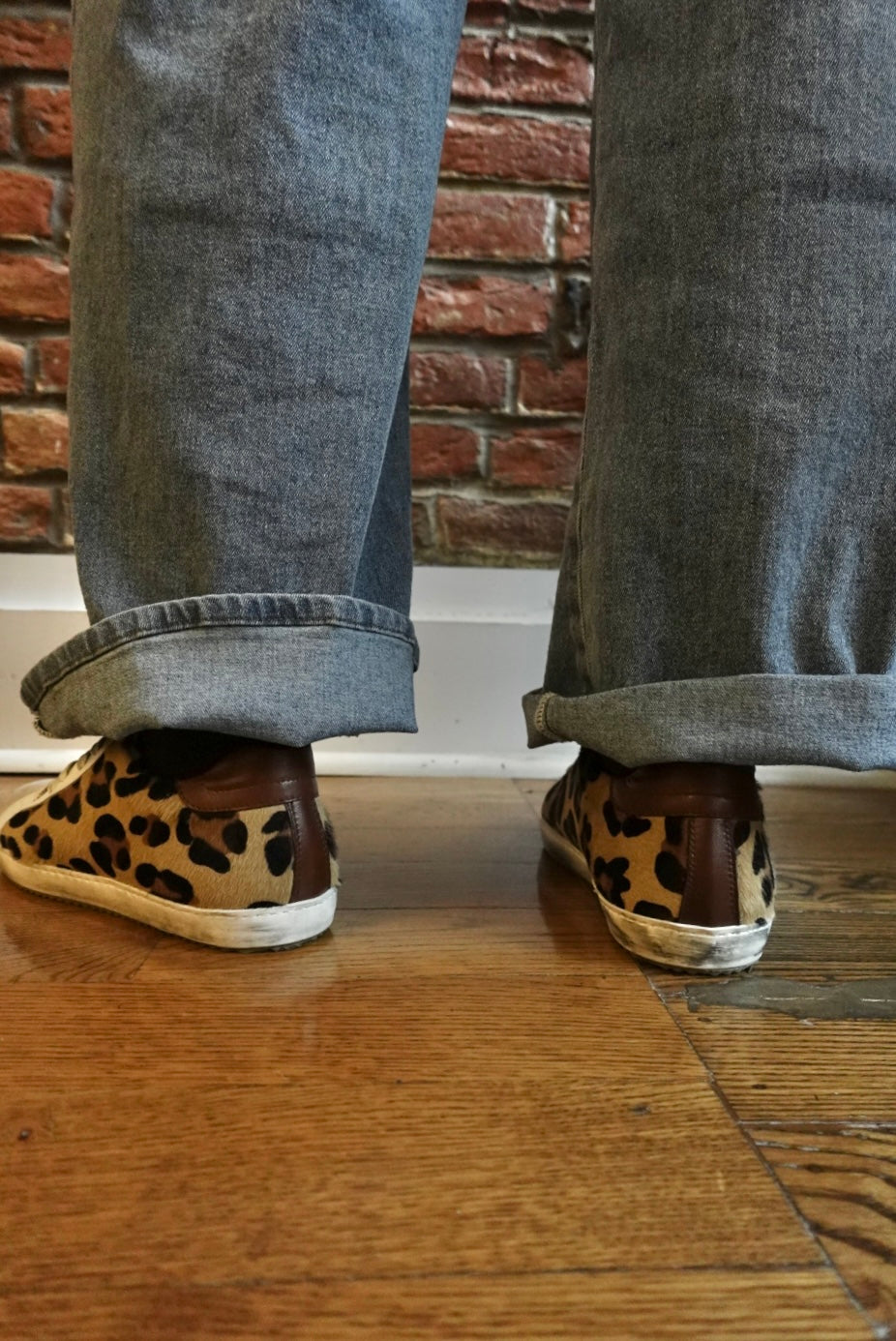 Hudsin Leopard