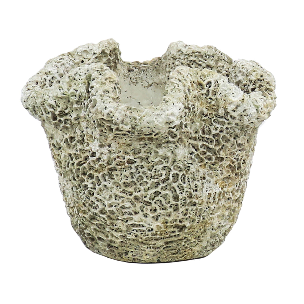CORAL CAST CONCRETE PLANTER