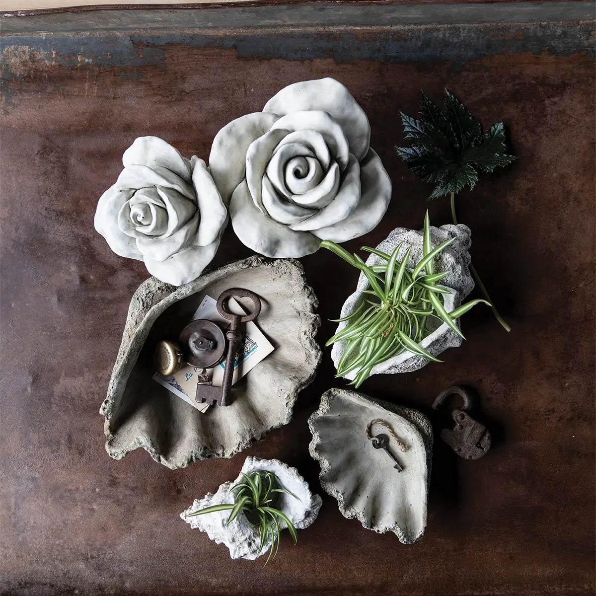 CLAM CAST CONCRETE SHELL SHALLOW BOWL