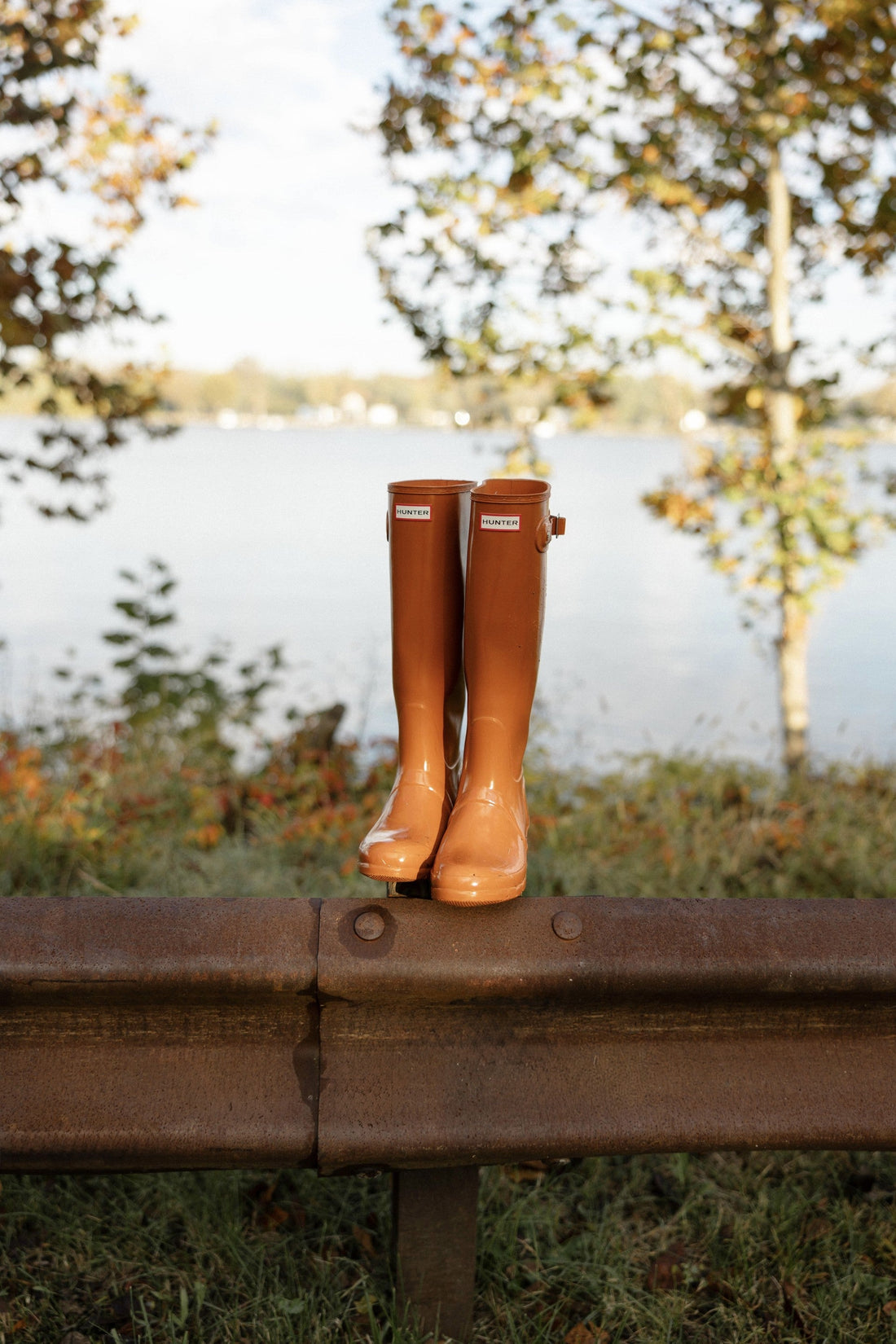 Coastal Harvest Edit