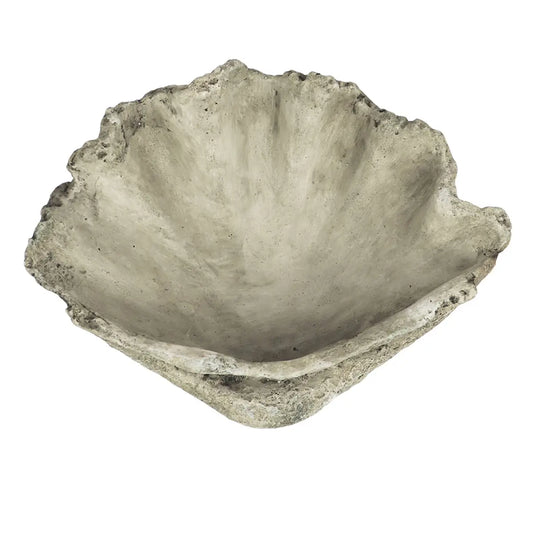 CLAM CAST CONCRETE SHELL SHALLOW BOWL