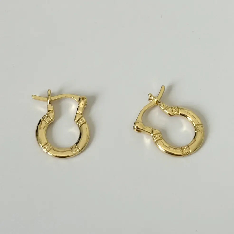 Pair of gold hoop earrings on a light gray background