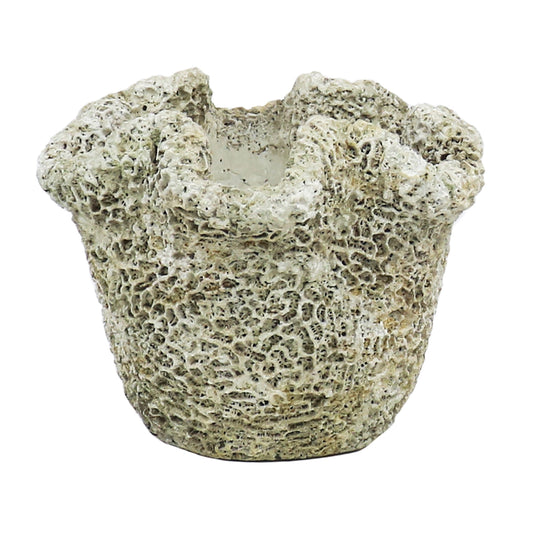 CORAL CAST CONCRETE PLANTER